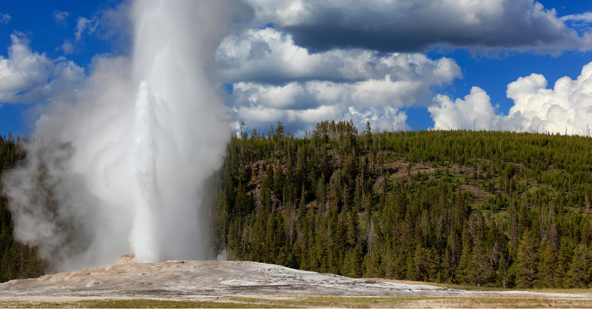 Yellowstone